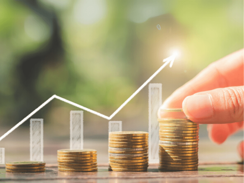 winstgroei strategie