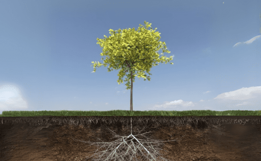 Het verschil tussen een bedrijfsstrategie en een marketingstrategie